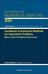 bokomslag Handbook of Numerical Methods for Hyperbolic Problems