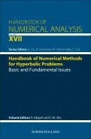 Remi Abgrall, Chi-Wang Shu - Handbook of Numerical Methods for Hyperbolic Problems, Inbunden