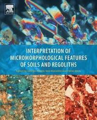 bokomslag Interpretation of Micromorphological Features of Soils and Regoliths
