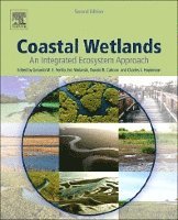 Gerardo Perillo, Eric Wolanski, Donald R Cahoon, Charles S Hopkinson - Coastal Wetlands, Häftad