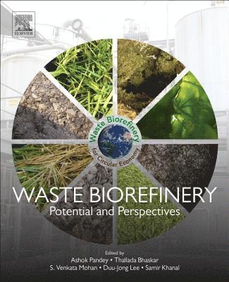 bokomslag Waste Biorefinery