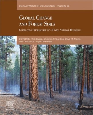 bokomslag Global Change and Forest Soils