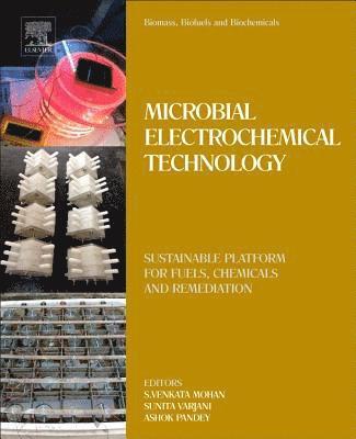 S.Venkata Mohan, Ashok Pandey, Sunita Varjani - Biomass, Biofuels, Biochemicals, Häftad