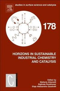 bokomslag Horizons in Sustainable Industrial Chemistry and Catalysis