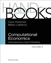 bokomslag Computational Economics: Heterogeneous Agent Modeling