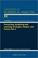 Ron Kimmel, Xue-Cheng Tai - Processing, Analyzing and Learning of Images, Shapes, and Forms: Part 2, Inbunden