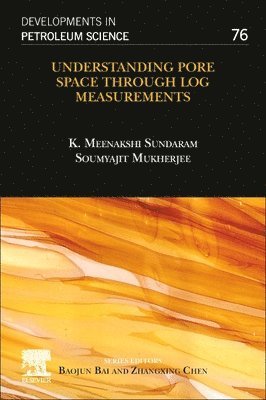 bokomslag Understanding Pore Space through Log Measurements