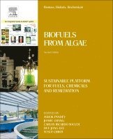 Ashok Pandey, Duu Jong Lee, Jo-Shu Chang, Yusuf Chisti, Carlos Ricardo Soccol - Biomass, Biofuels, Biochemicals, Häftad