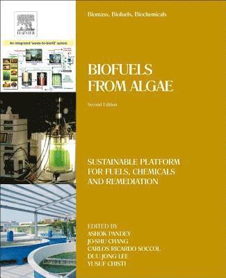 bokomslag Biomass, Biofuels, Biochemicals