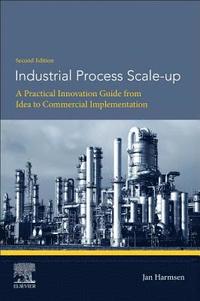 bokomslag Industrial Process Scale-up