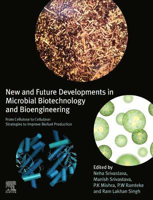 bokomslag New and Future Developments in Microbial Biotechnology and Bioengineering