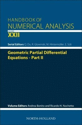 bokomslag Geometric Partial Differential Equations - Part 2