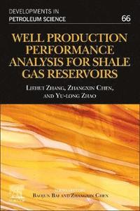 bokomslag Well Production Performance Analysis for Shale Gas Reservoirs