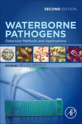 bokomslag Waterborne Pathogens