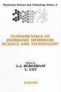 bokomslag Fundamentals of Inorganic Membrane Science and Technology