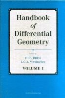 bokomslag Handbook of Differential Geometry, Volume 1
