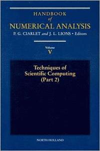 bokomslag Techniques of Scientific Computing (Part 2)