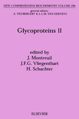 bokomslag Glycoproteins II