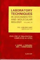 bokomslag Analysis of RNA-Protein Complexes in vitro