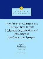 The Glutamate Synapse as a Therapeutic Target, Inbunden