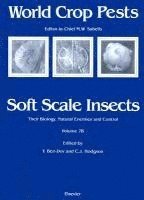 Soft Scale Insects 1