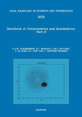 B. G. M. Vandeginste, D. L. Massart - Handbook of Chemometrics and Qualimetrics, Inbunden