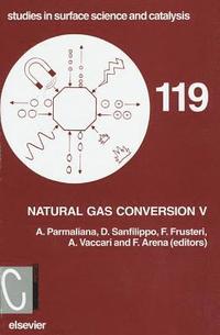 bokomslag Natural Gas Conversion V
