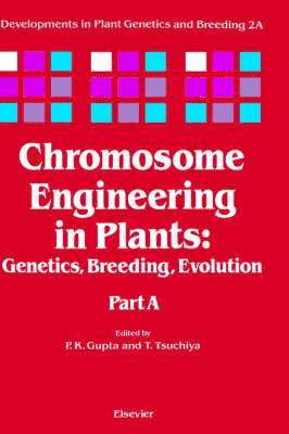 bokomslag Chromosome Engineering in Plants
