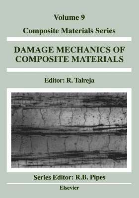 Ramesh Talreja - Damage Mechanics of Composite Materials, Inbunden