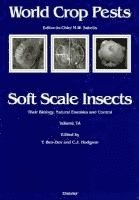 bokomslag Soft Scale Insects