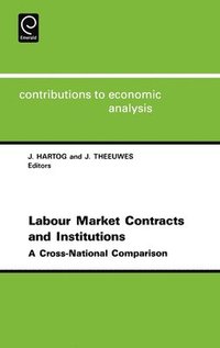 bokomslag Labor Market Contracts and Institutions