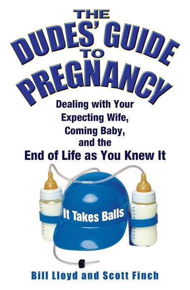 bokomslag The Dudes' Guide To Pregnancy