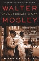 bokomslag Bad Boy Brawly Brown