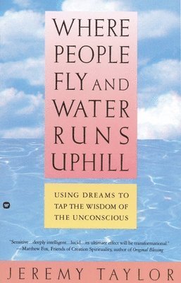 Jeremy Taylor - Where People Fly and Water Runs Uphill, Häftad