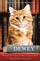 bokomslag Dewey: The Small-Town Library Cat Who Touched the World