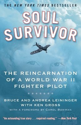 bokomslag Soul Survivor: The Reincarnation of a World War II Fighter Pilot