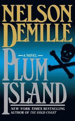 bokomslag Plum Island