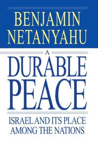 bokomslag A Durable Peace