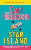 bokomslag Star Island