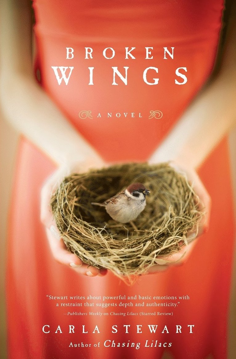 Carla Stewart - Broken Wings, Häftad