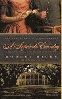 bokomslag A Separate Country: A Story of Redemption in the Aftermath of the Civil War