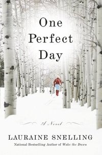 bokomslag One Perfect Day