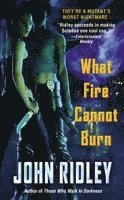 John Ridley - What Fire Cannot Burn, Häftad