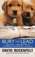 bokomslag Bury the Lead