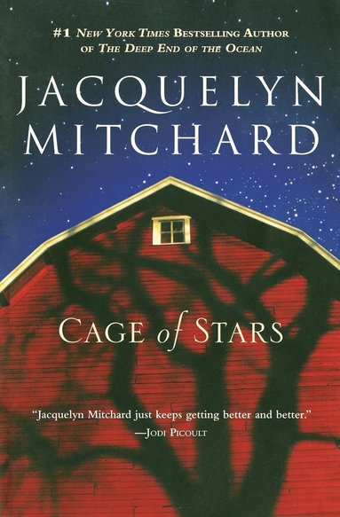 Jacquelyn Mitchard - Cage of Stars, Häftad