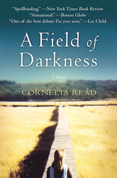 bokomslag A Field of Darkness