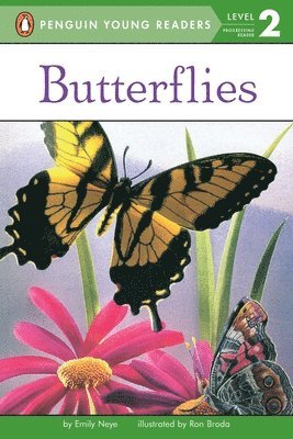 bokomslag Butterflies