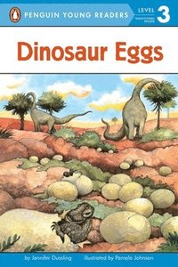 bokomslag Dinosaur Eggs