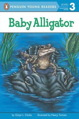 bokomslag Baby Alligator