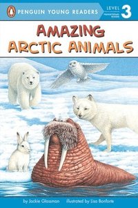 bokomslag Amazing Arctic Animals